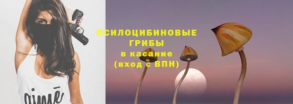 бутират Медногорск