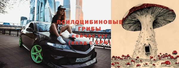 бутират Медногорск