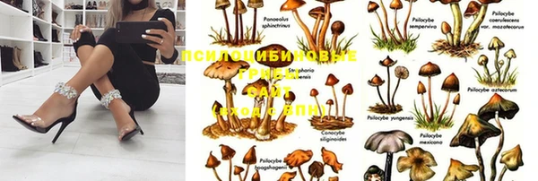 спайс Медвежьегорск
