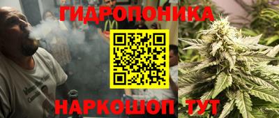 молекула духа Волгодонск