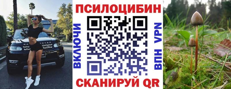 KRAKEN как войти  купить наркотик  Старая Купавна  Псилоцибиновые грибы GOLDEN TEACHER 