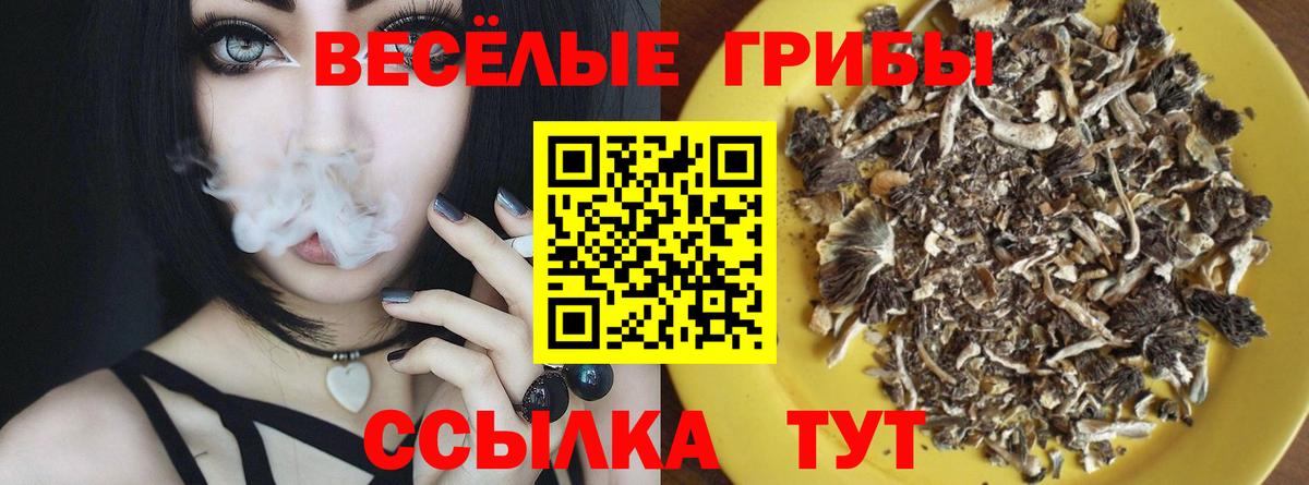 Галлюциногенные грибы GOLDEN TEACHER  Вход с VPN  Старая Купавна 